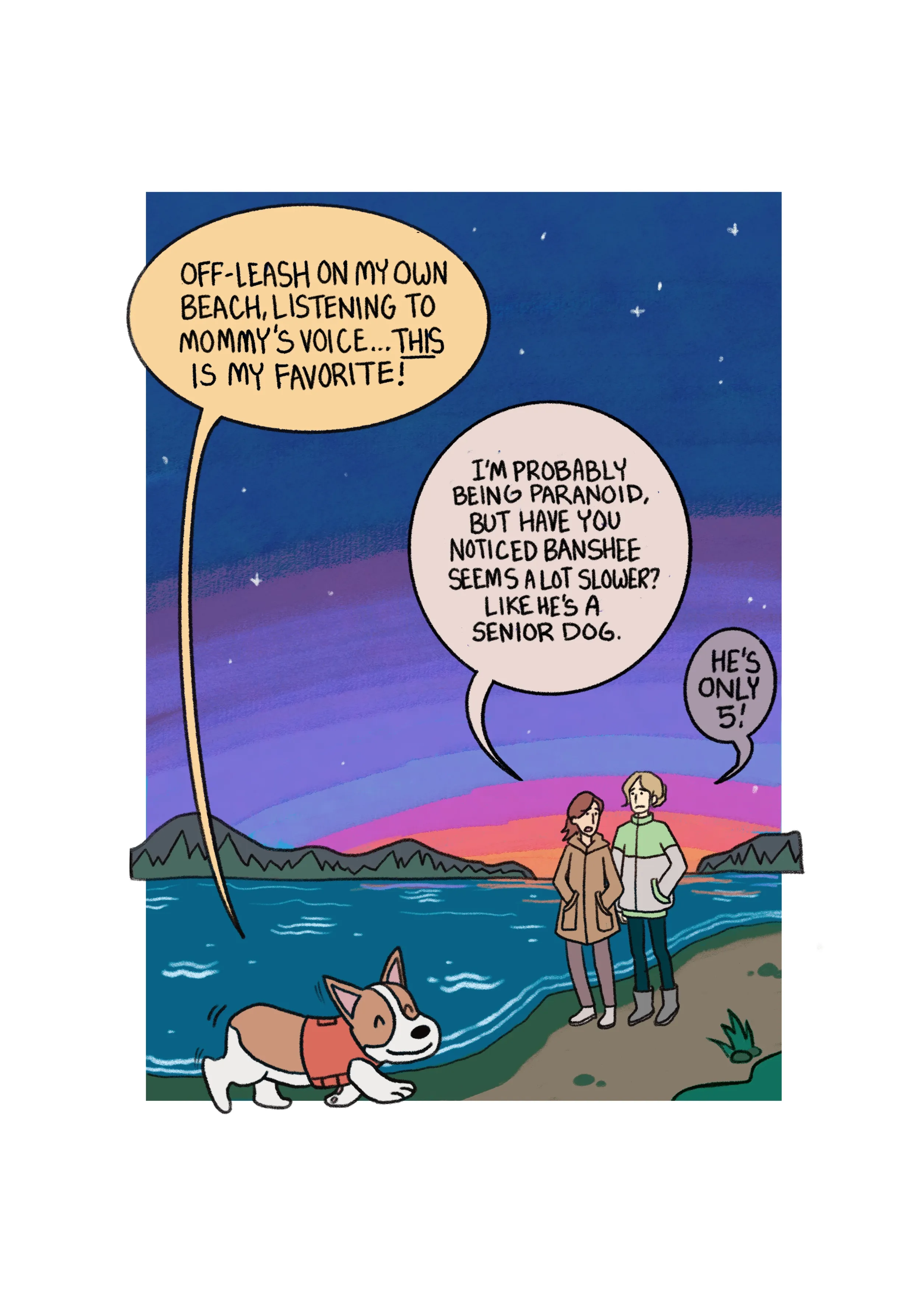 Panel2