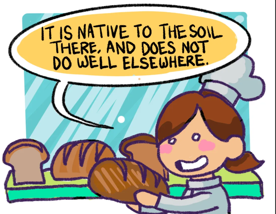 Panel2