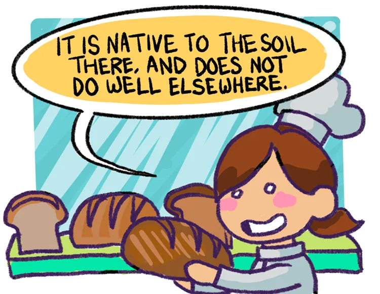Panel2